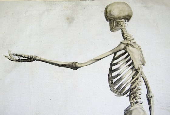 a skeleton with an outstretched arm