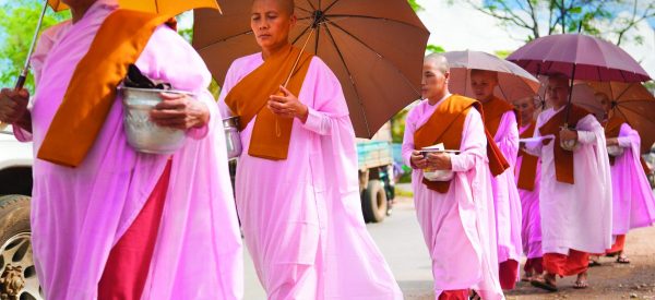 buddhist nuns in pink robes for a story on bhikkhuni ordination