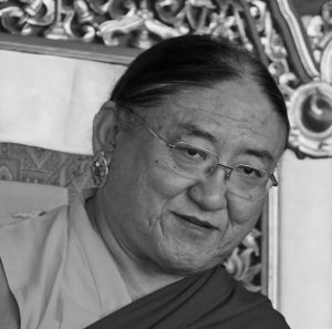 Sakya Trinzin headshot