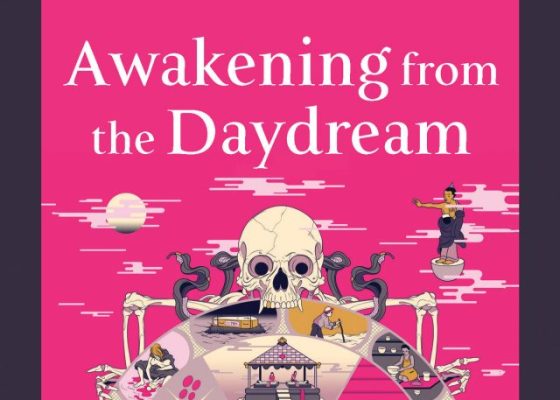 awakening from the daydream book cover