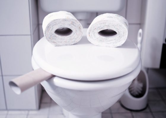 photo of a toilet with toilet paper rolls for eyes for article on Buddhism and humor