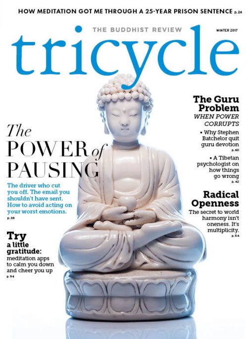 Winter 2017 - Tricycle: The Buddhist Review