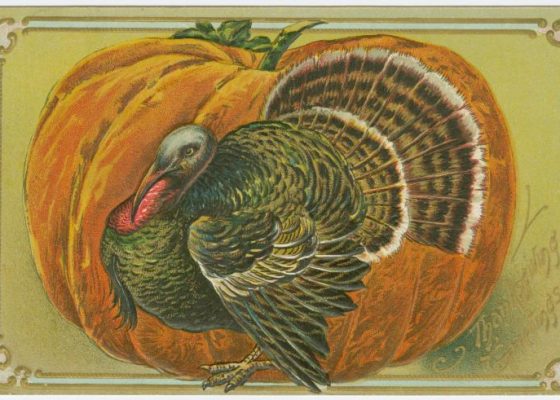 Thanksgiving turkey and pumpkin on a vintage postcard