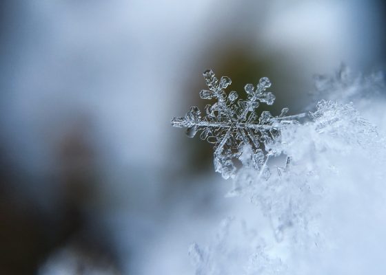 closeup photo of a snowflake, buddhism holidays
