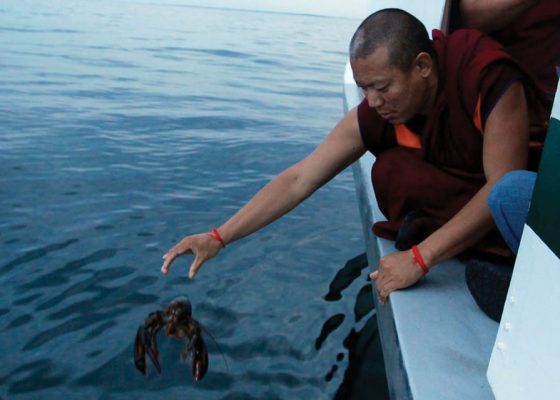 Buddhist monk releasing a lobster back into the ocean, buddha buzz spring 2018