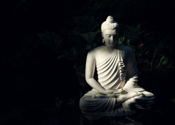 Light cast upon a Buddha statue