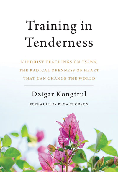 Cover of Training in Tenderness: Buddhist Teachings on Tsewa, The Radical Openness of Heart That Can Change the World by Dzigar Kongtrul