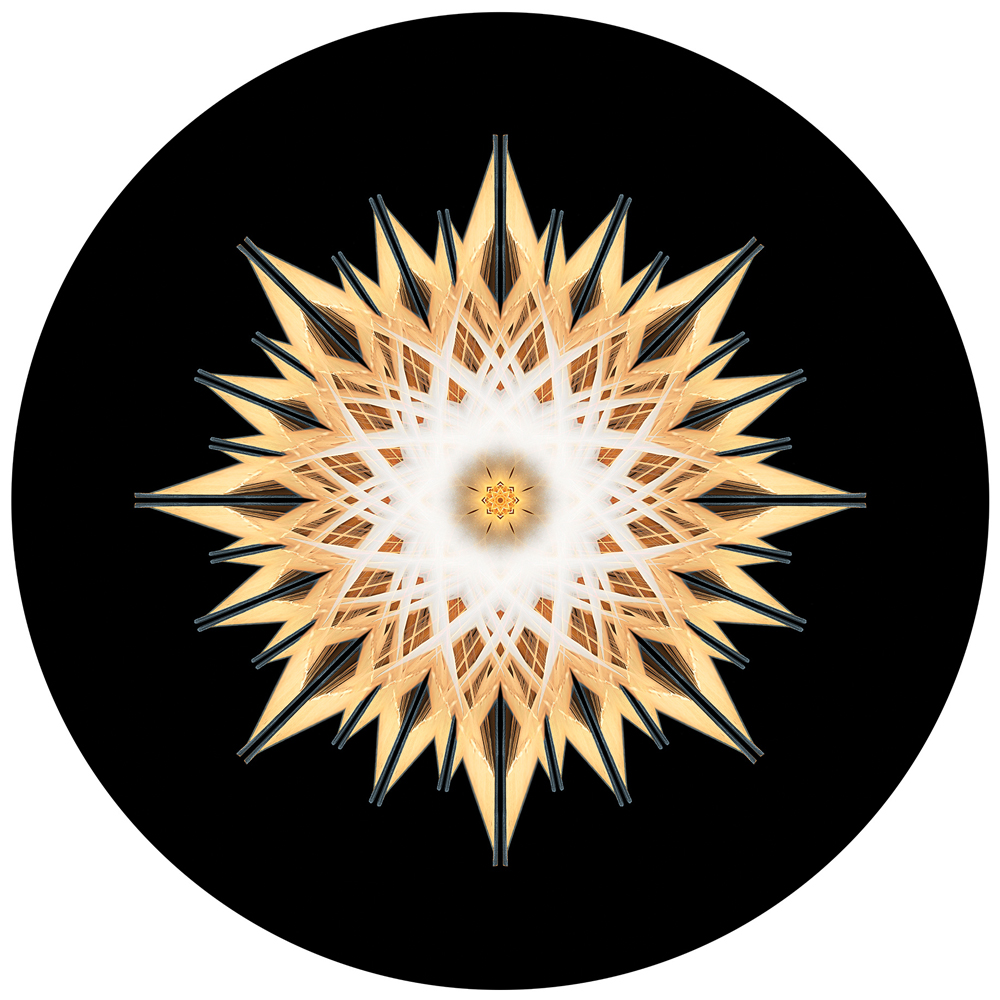 david orr mandala