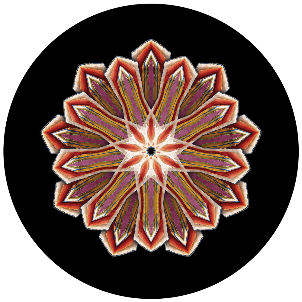 david orr mandala