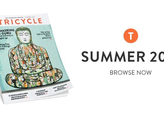 Summer 2019 Tricycle cover