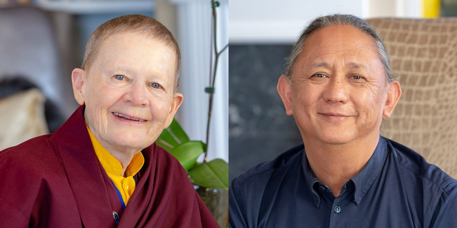 pema chodron and dzigar kongtrul on depression
