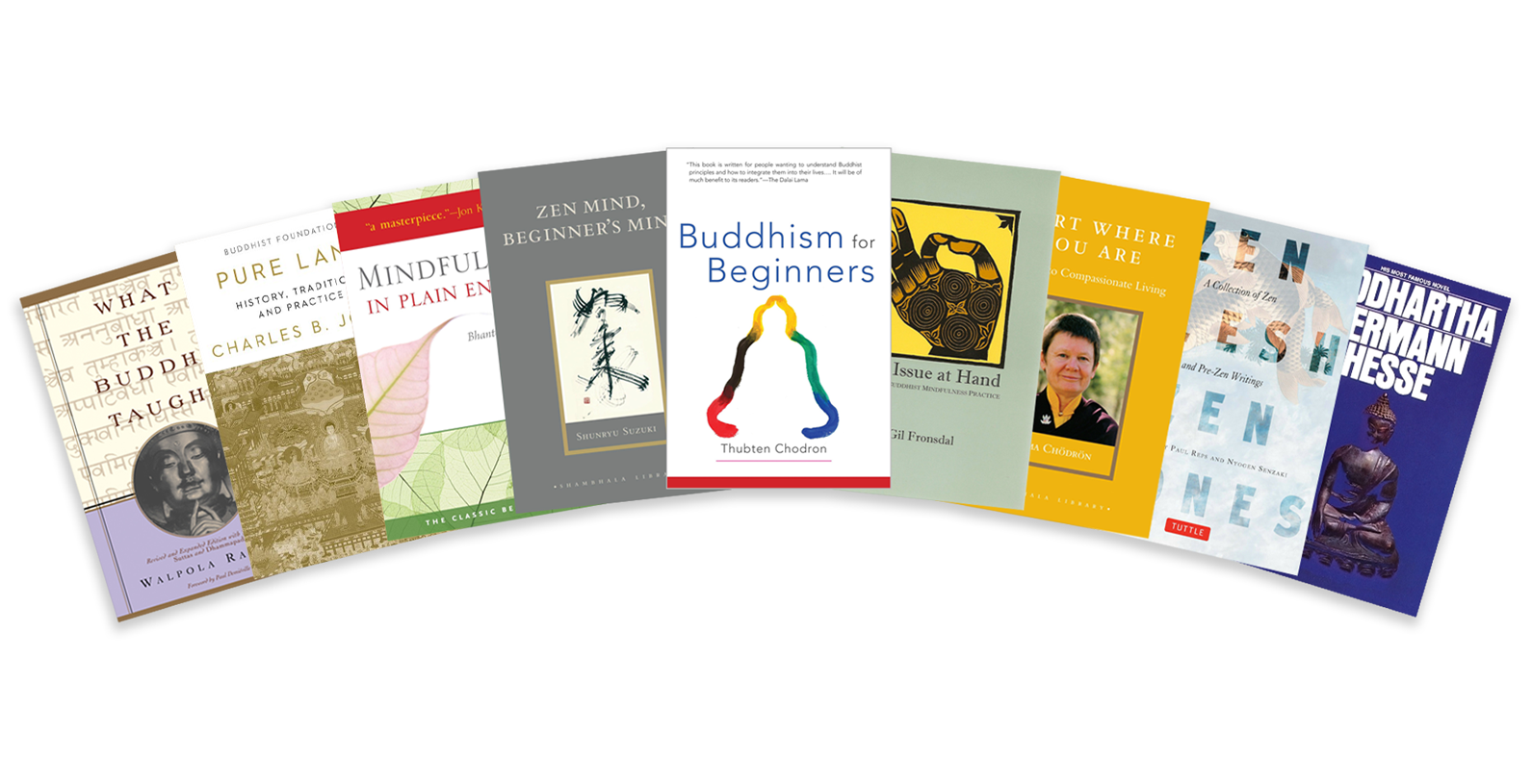 Best Buddhist Books for Beginners: A Comprehensive List