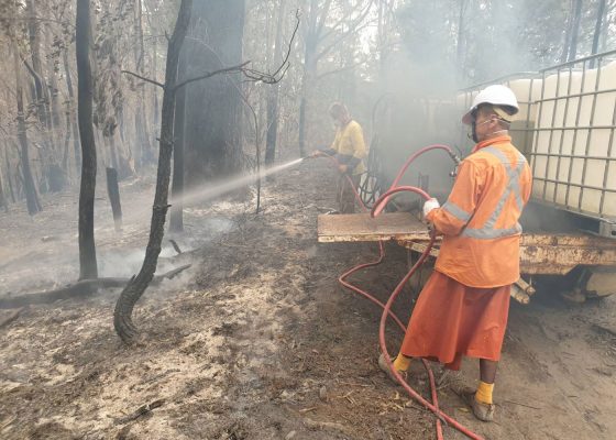 bushfires continue