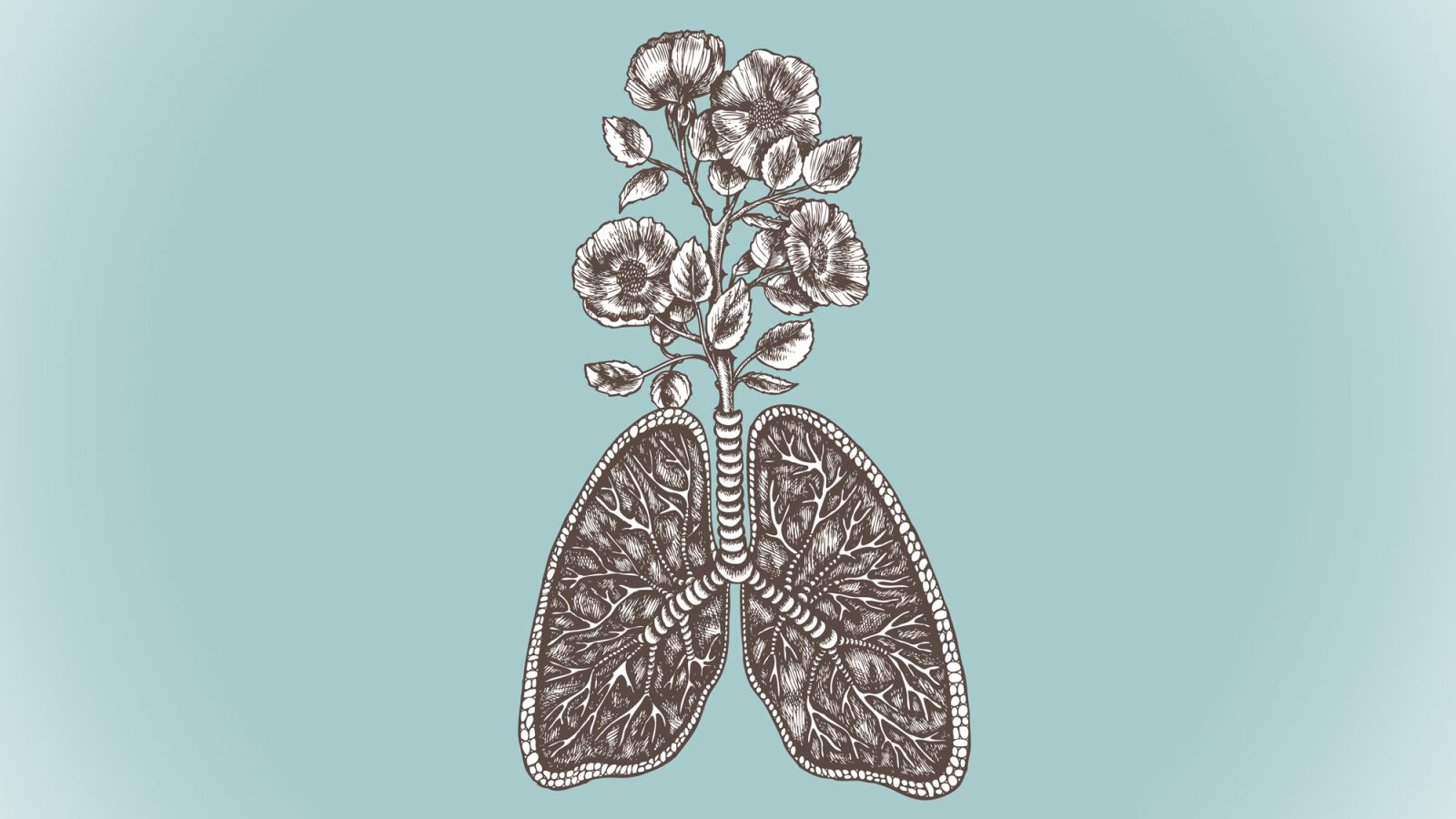 sati meaning | illustration of lungs with flowers growing