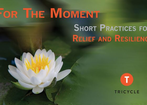 for-the-moment