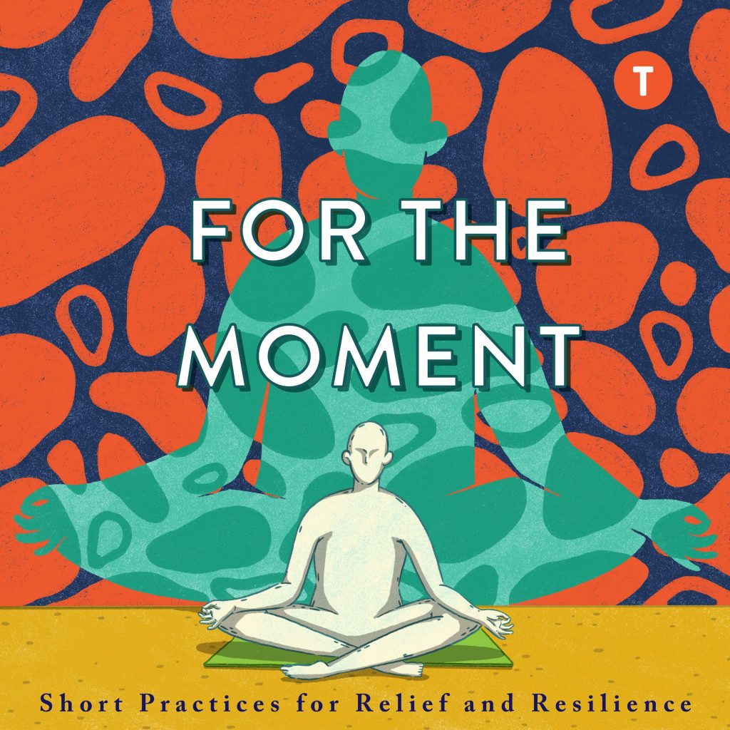 For the Moment: Short Practices for Relief and Resilience 