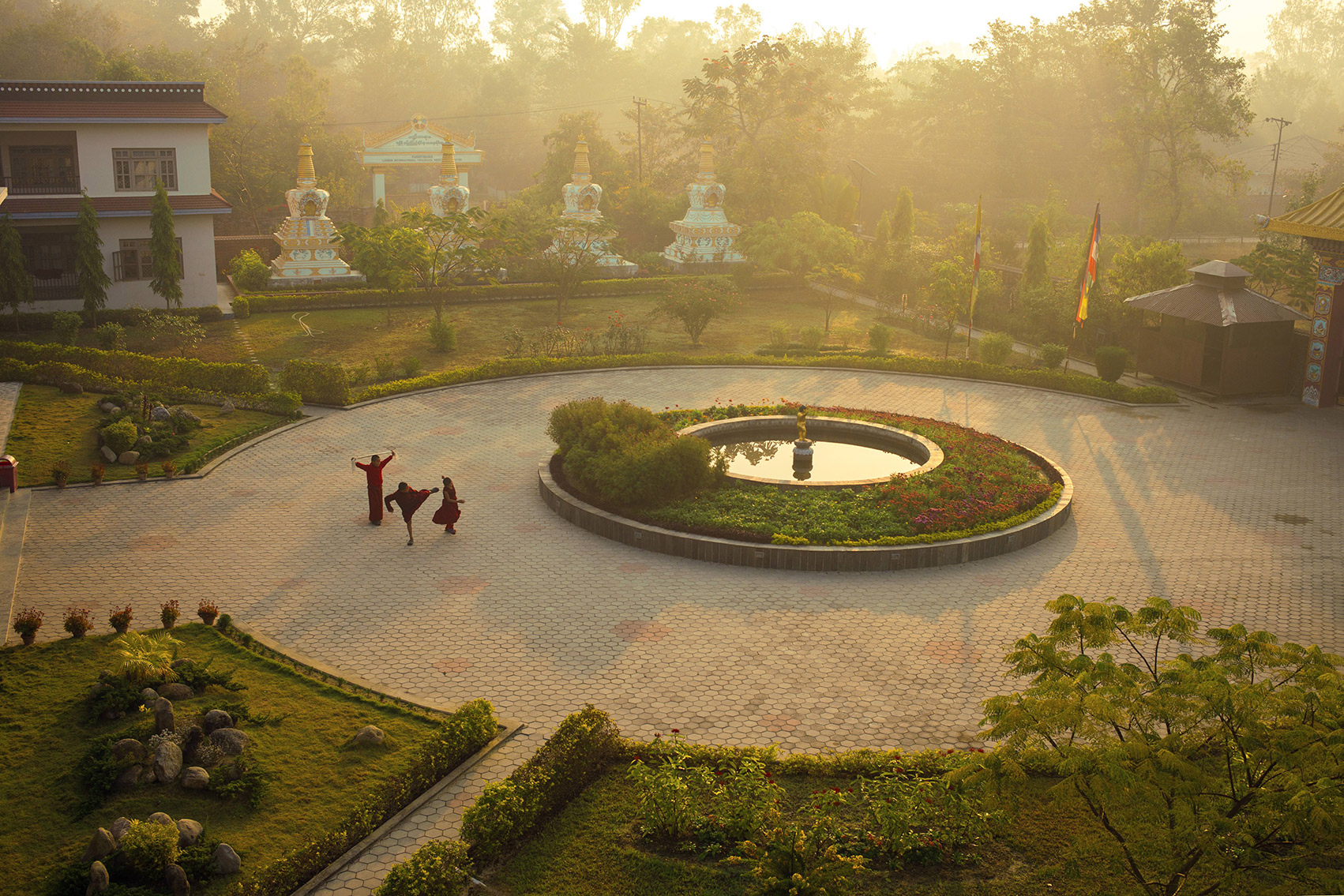 my soul drifts light upon a sea of trees