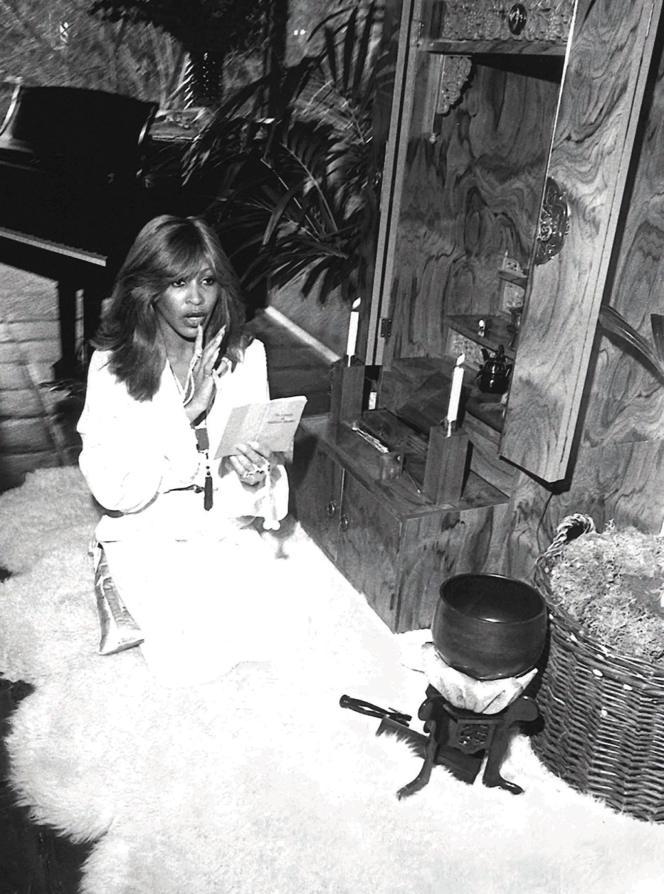 Tina Turner Buddhist Practice Tricycle The Buddhist Review