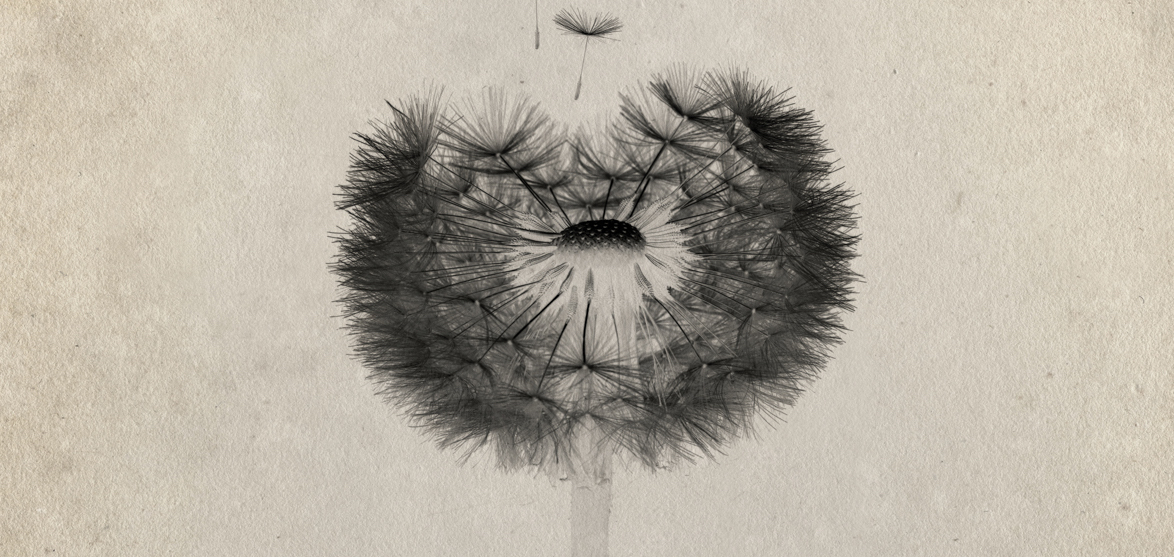 Thumbnail of No Beginning, No Ending, No Fear