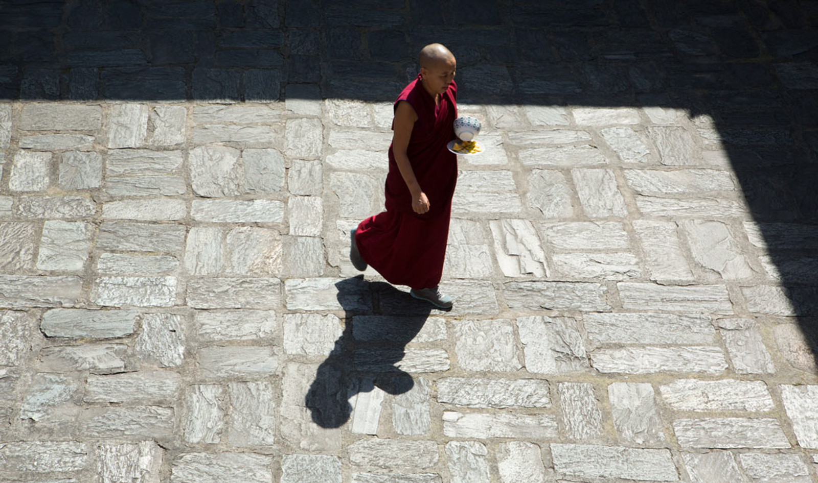 my soul drifts light upon a sea of trees