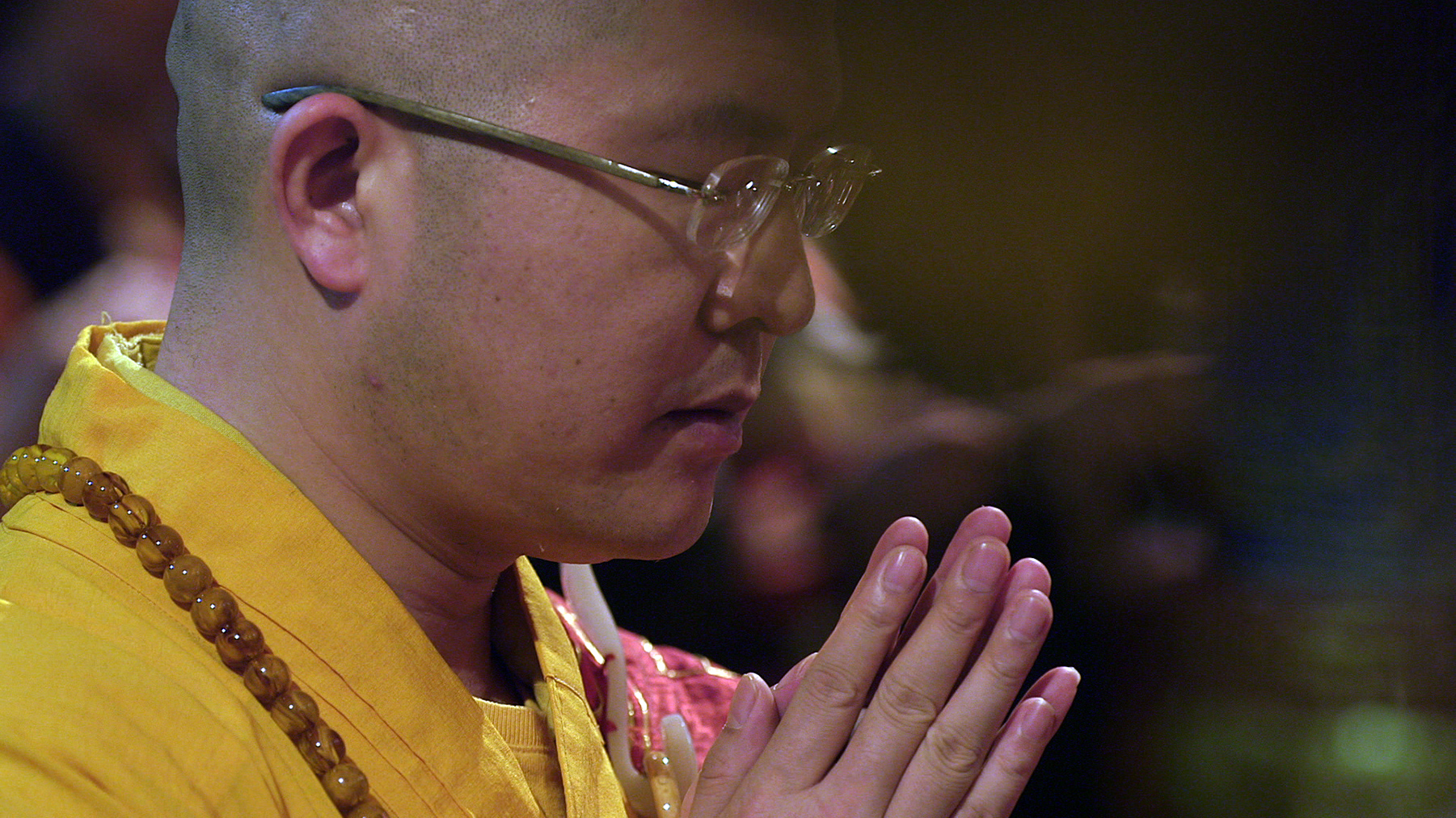 my soul drifts light upon a sea of trees