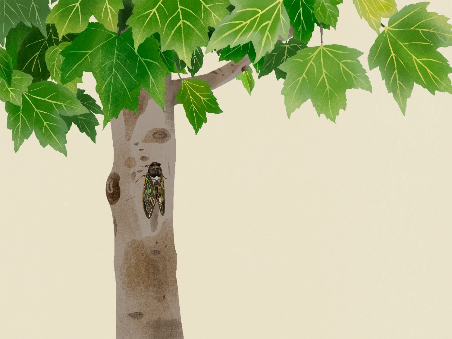 Best of the August Haiku Challenge Tricycle The Buddhist Review