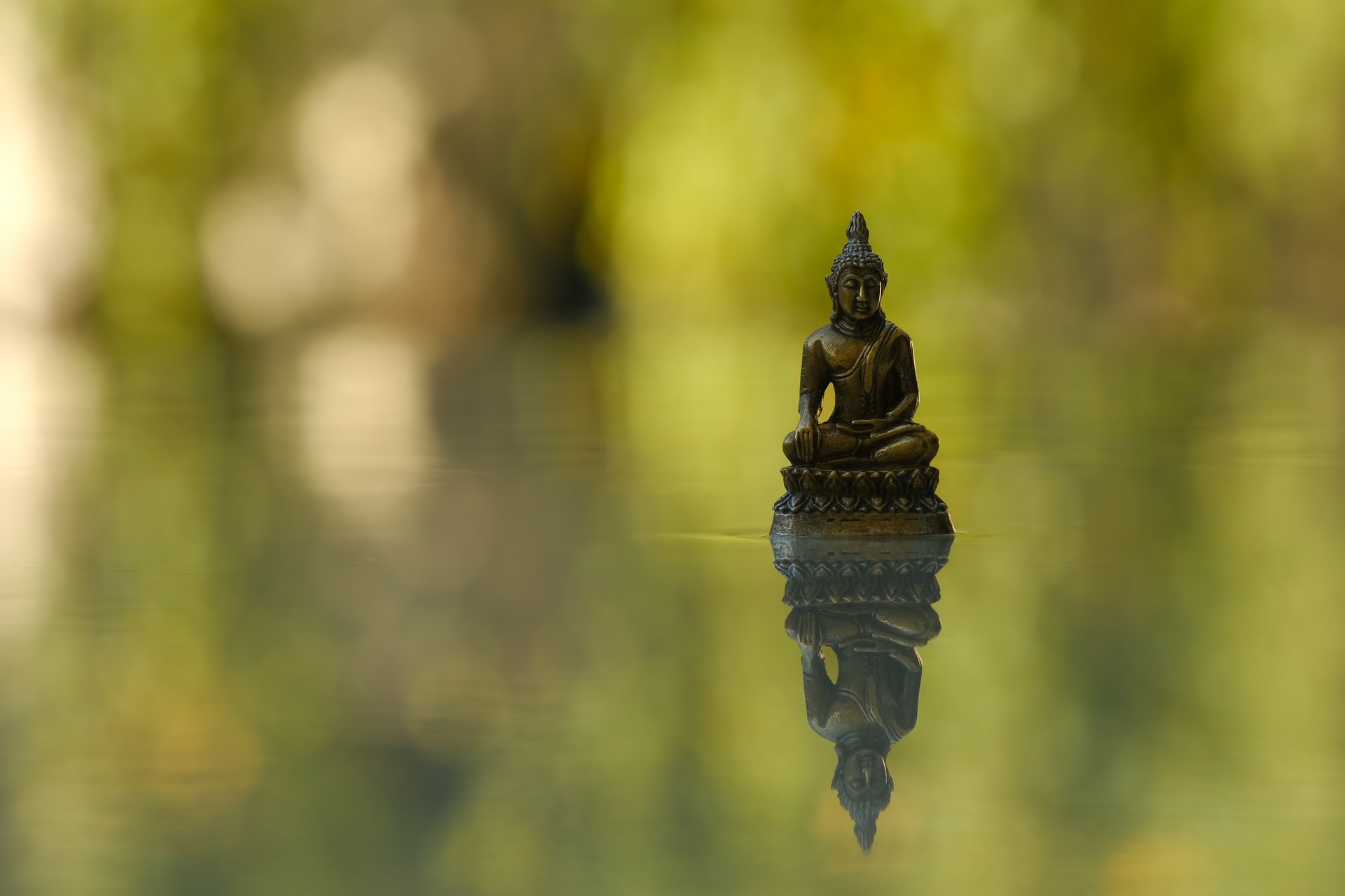 How Moral Courage Transforms Buddhism 