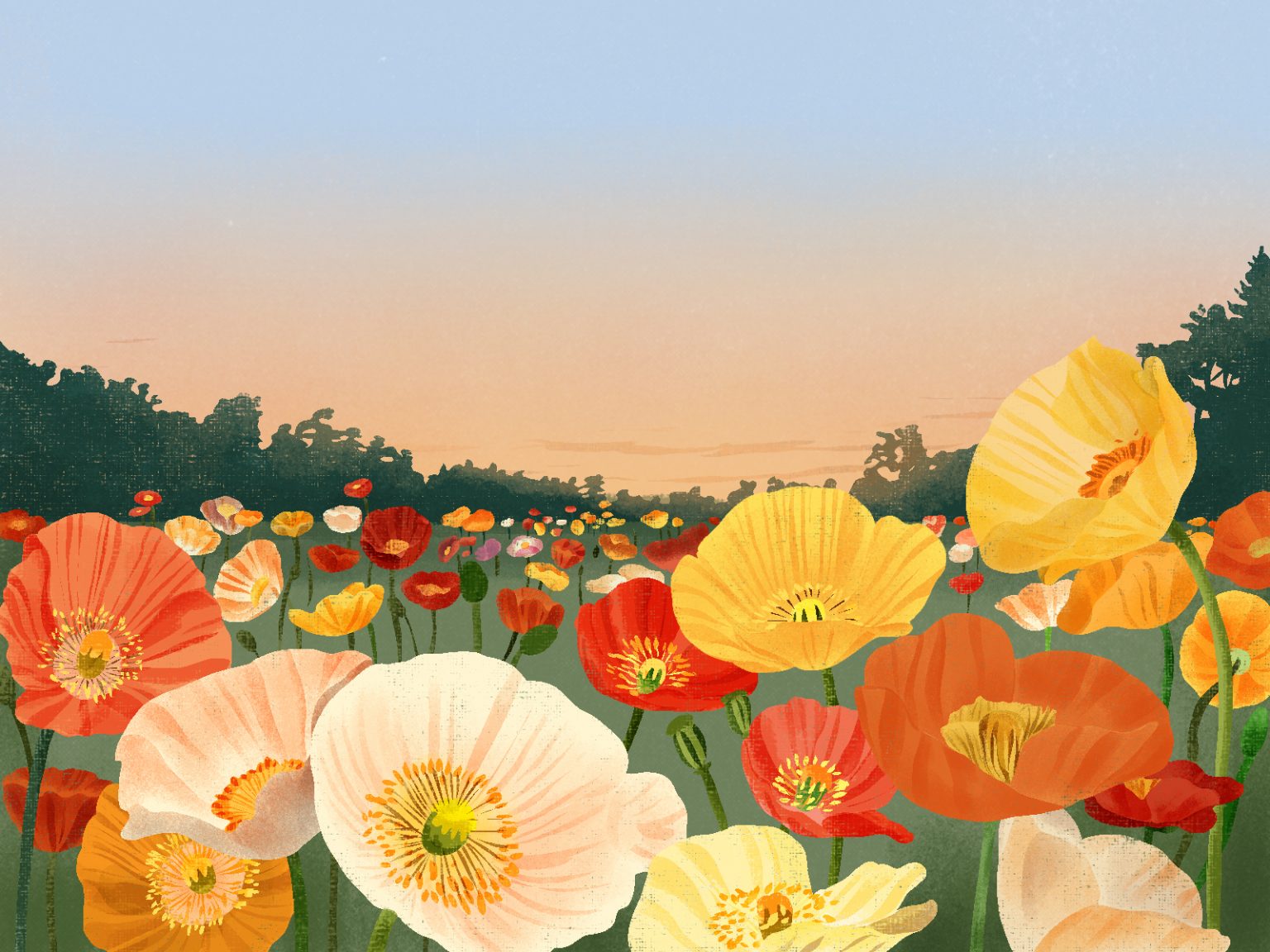 'Spring Sunrise' Haiku Winners March Tricycle Haiku Challenge