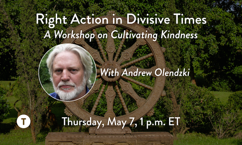 Right Action in Divisive Times: A Workshop with Andrew Olendzki