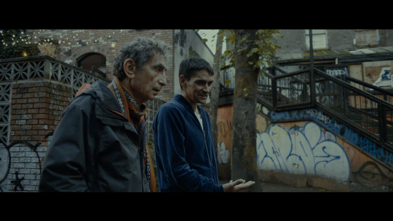 the wisdom of trauma