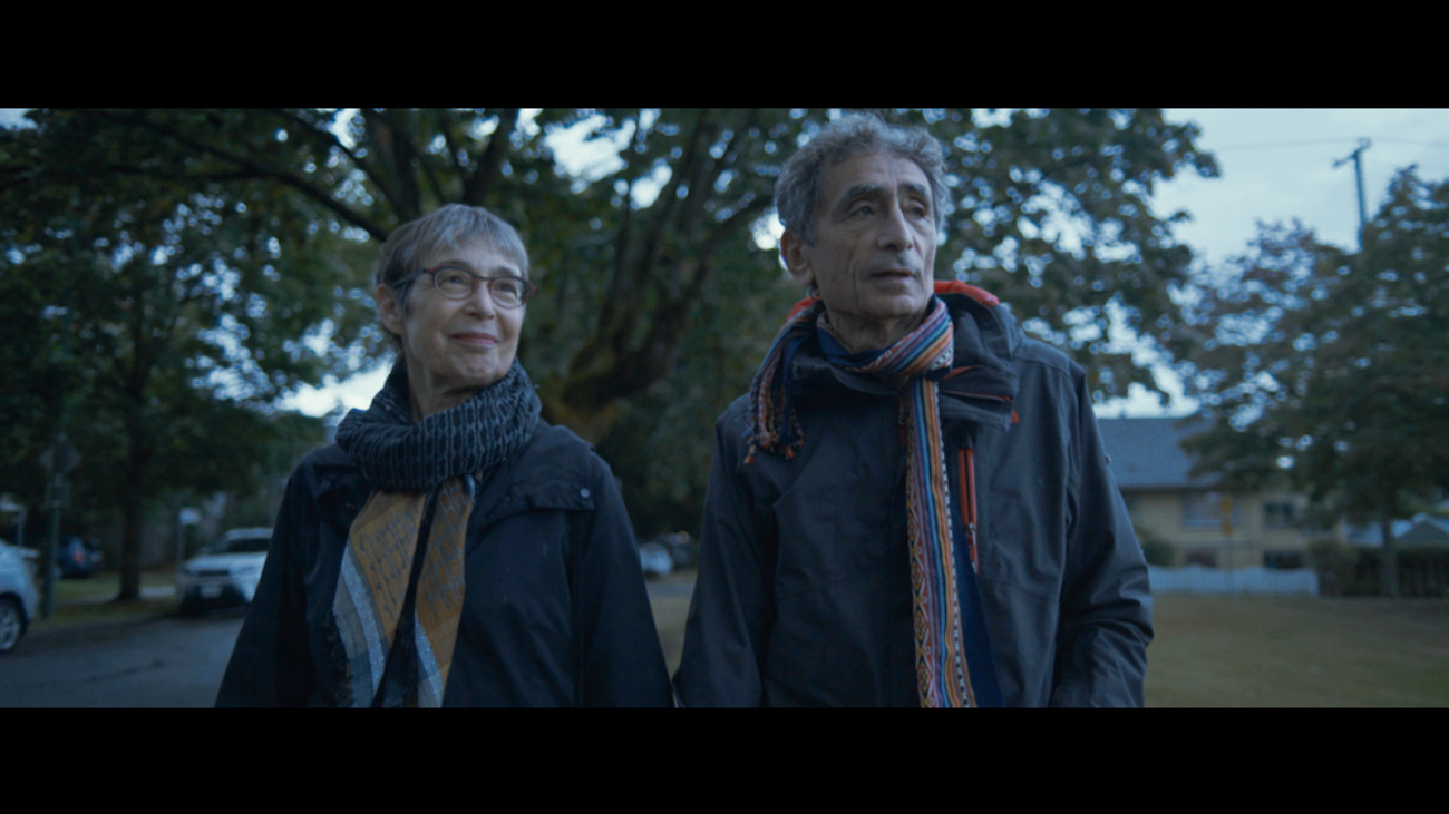 the wisdom of trauma