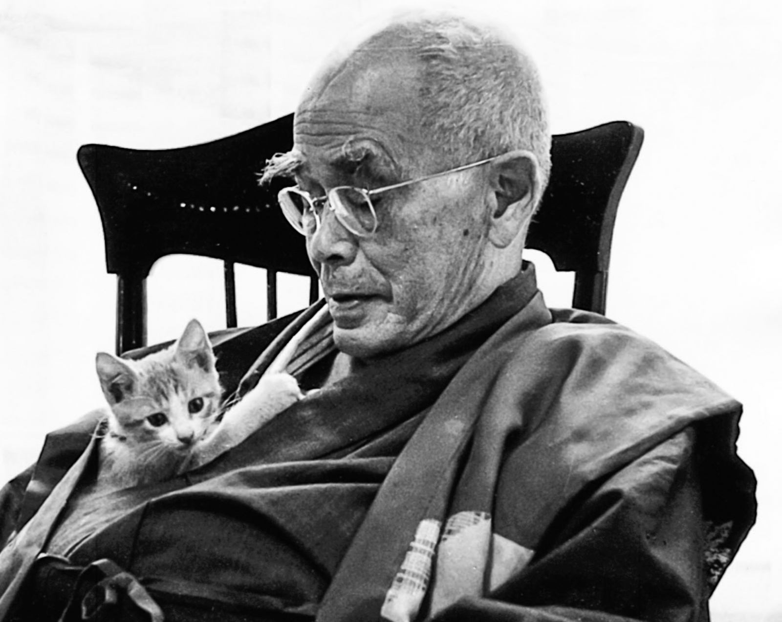 д. дайсэцу тэйтаро судзуки. книга дзен судзуки. судзуки дзен. дайсэцу тэйтаро судзуки.