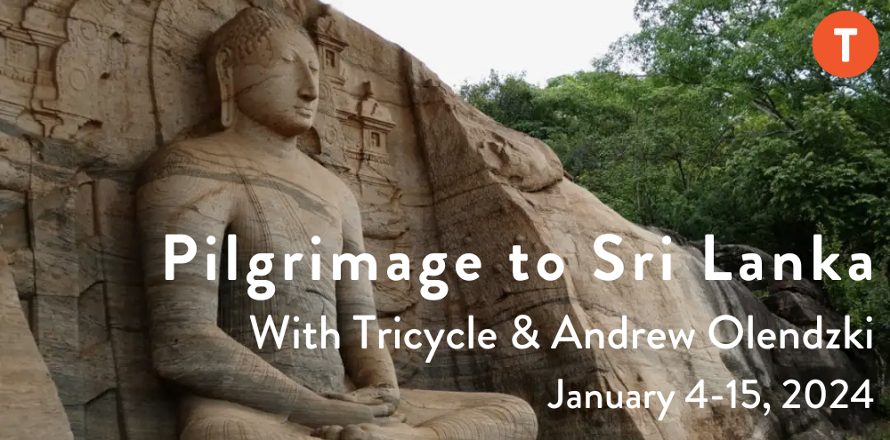 Pilgrimage to Sri Lanka with Tricycle and Andrew Olendzki, January 4-15, 2024