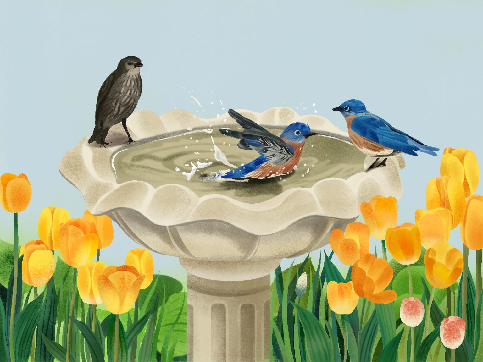 "Coolness" Haiku Winners The Monthly Tricycle Haiku Challenge