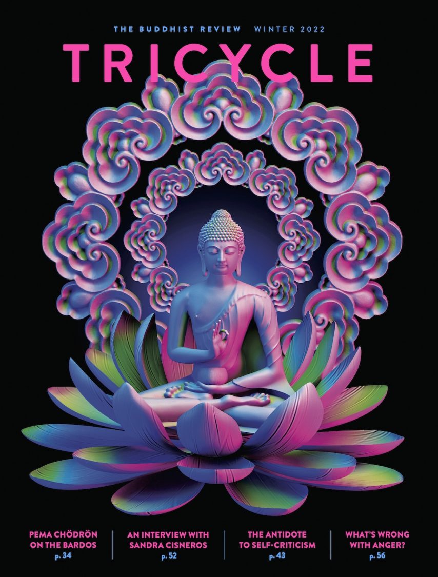 Magazine Archive Tricycle The Buddhist Review