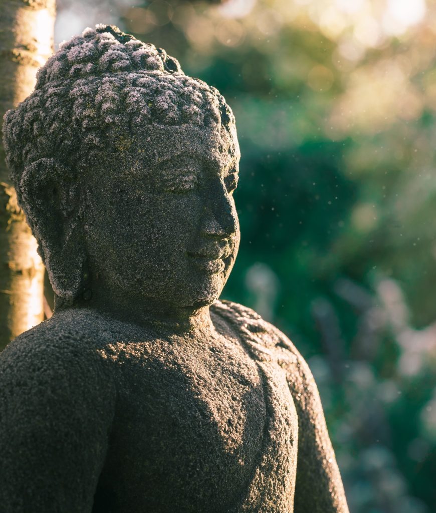 Why Did the Buddha Cultivate Samadhi?