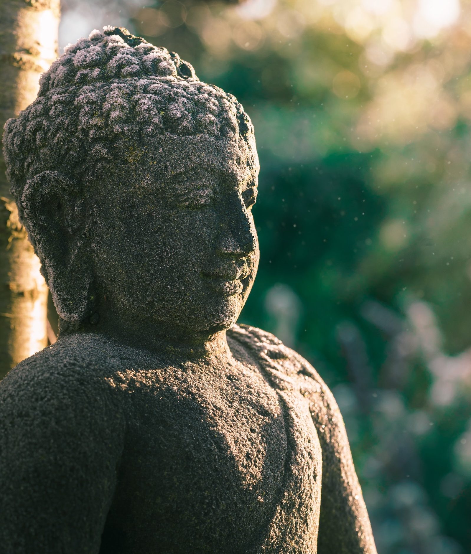 Why Did the Buddha Cultivate Samadhi?