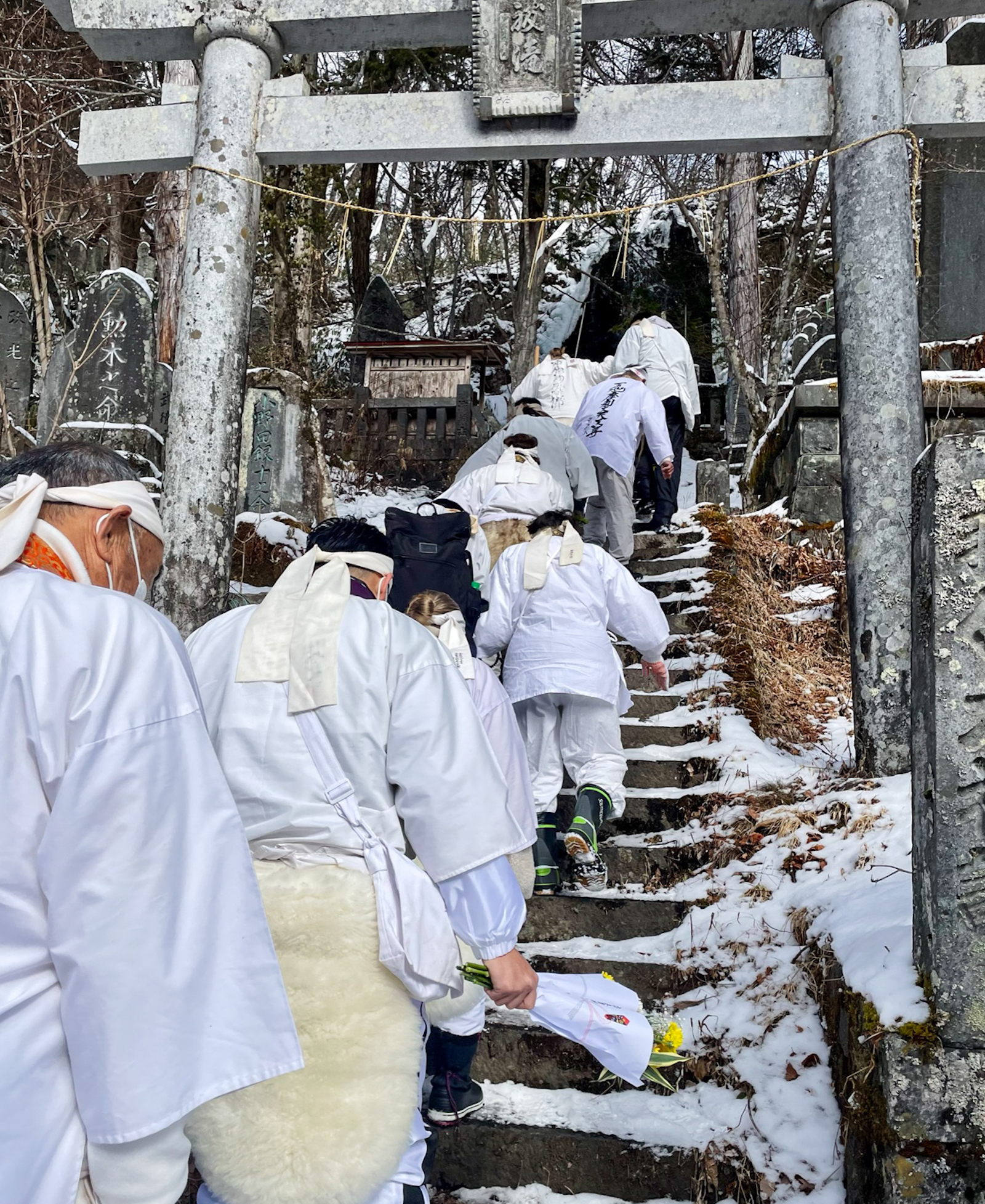 Buddhism – Ling Rinpoche, image size:1600x1954