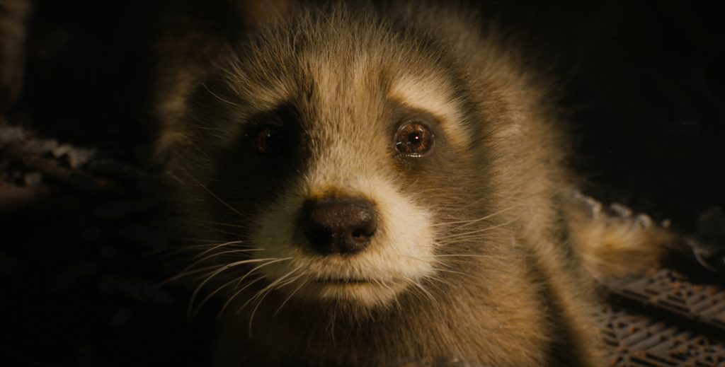Animal Liberation in ‘Guardians of the Galaxy Vol. 3’