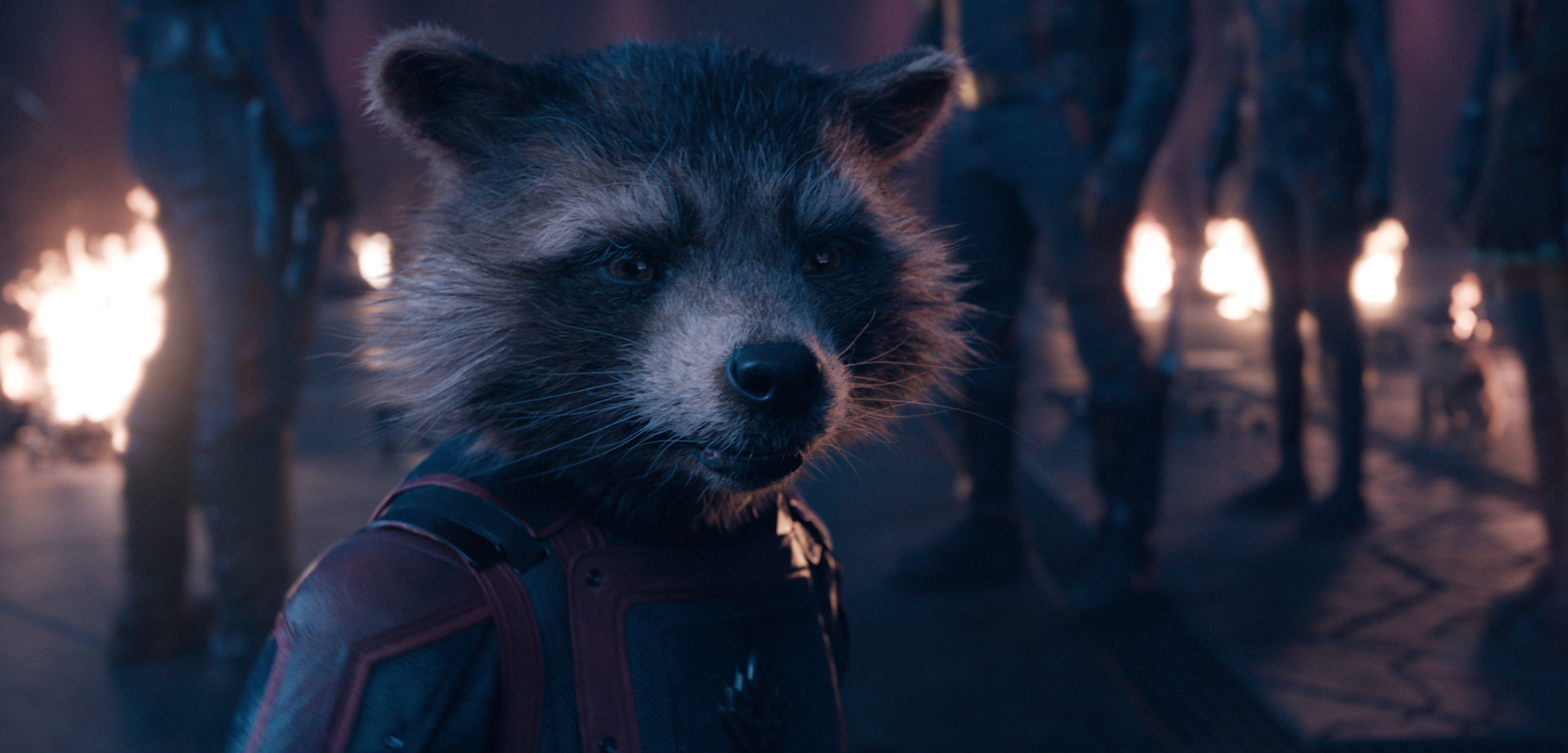 Animal Liberation in ‘Guardians of the Galaxy Vol. 3’