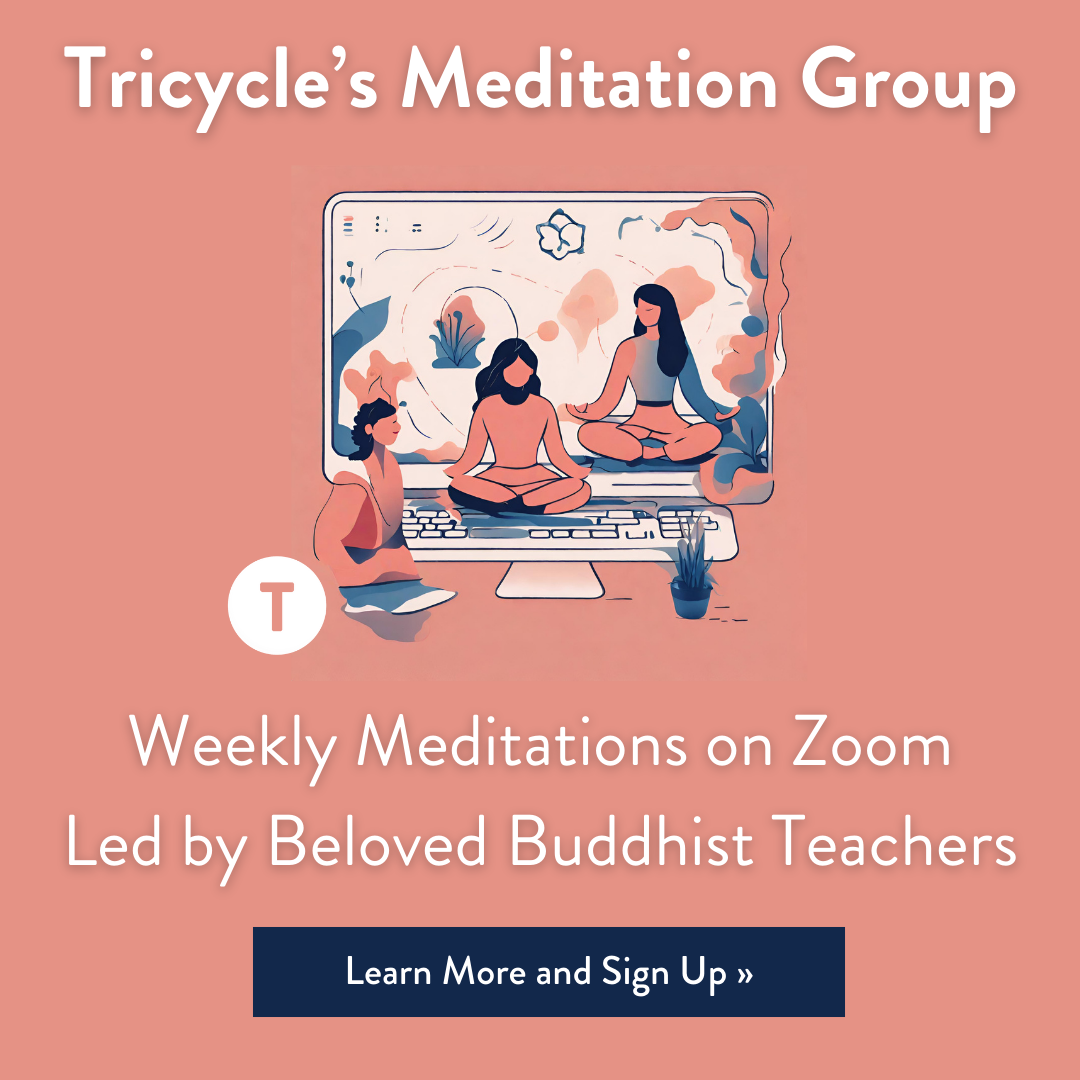 Tricycle's Meditation Group