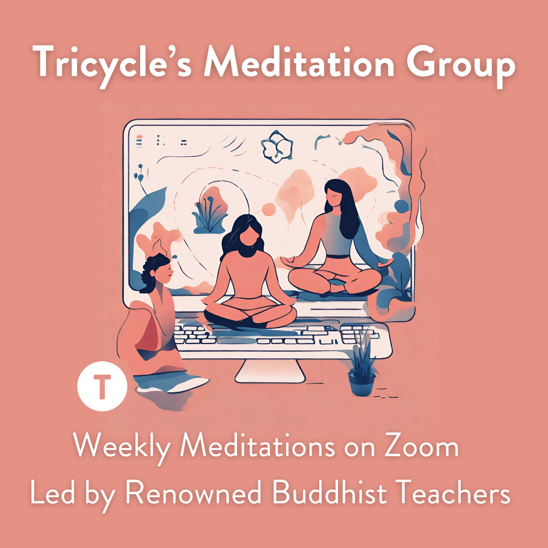Tricycle's Meditation Group