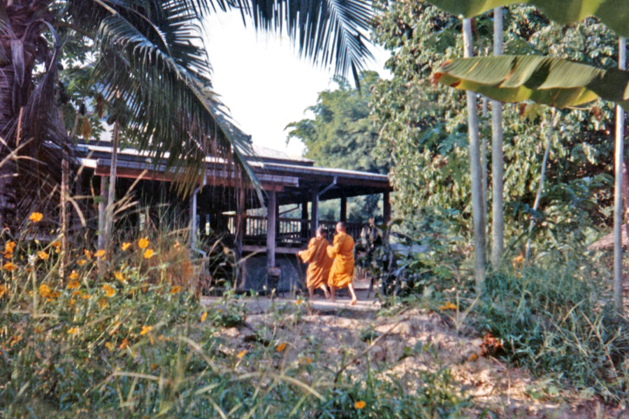 The Forest Container of the Rains Retreat