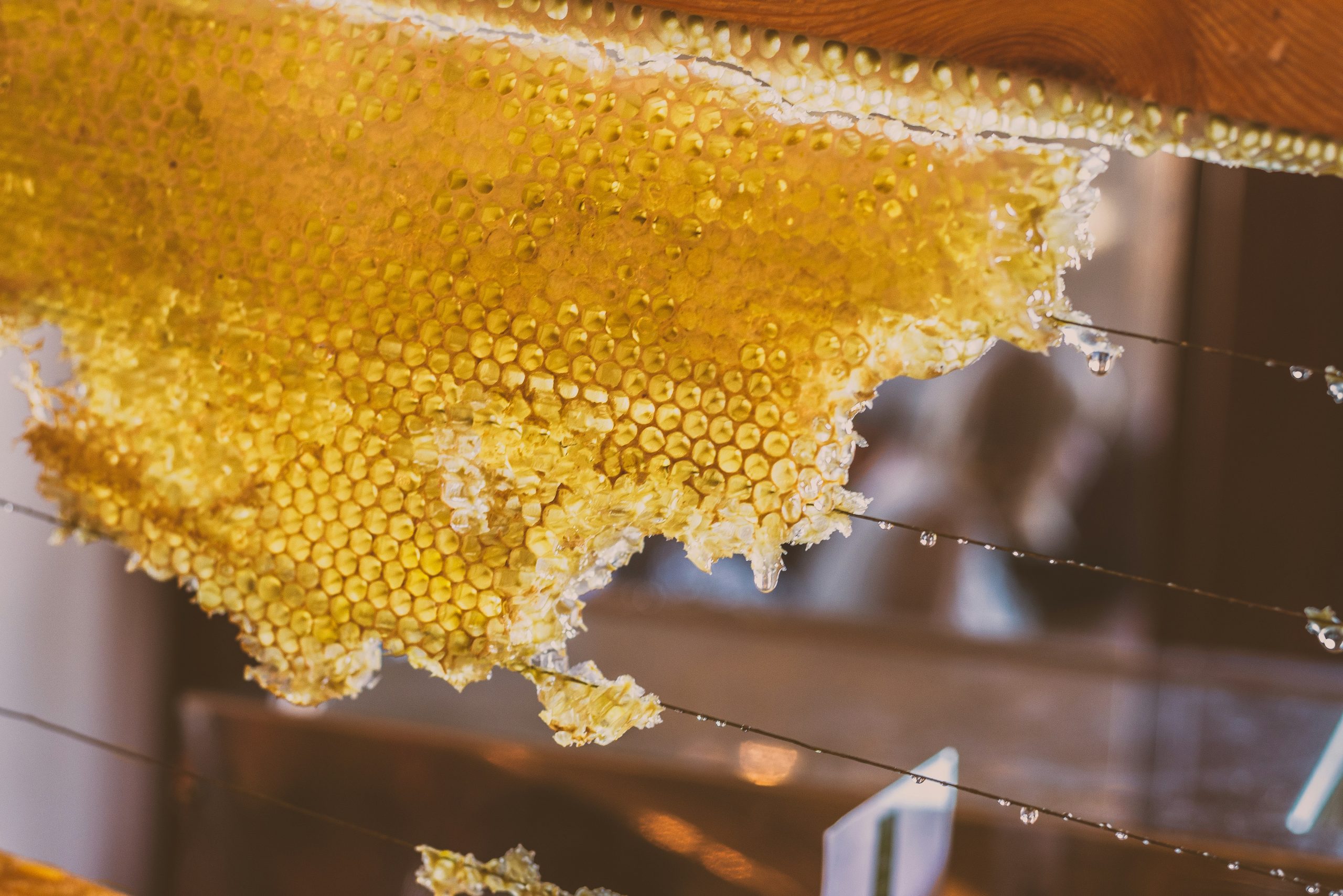 Licking Honey from a Razor Blade