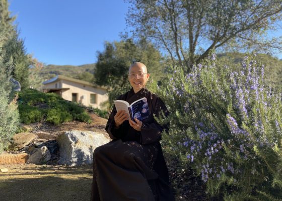 sister dang nghiem poetry
