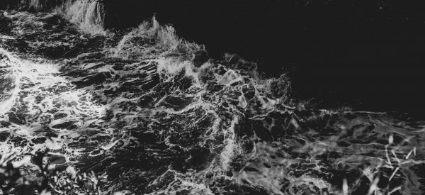 dogen ocean mudra samadhi