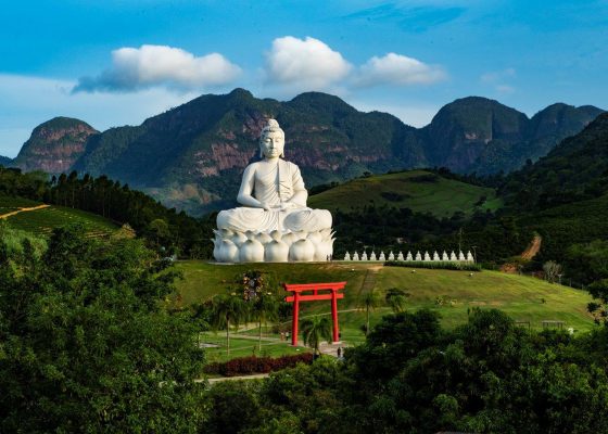 The Great Buddha of Ibiraçu