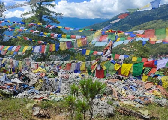 Butterfly Bhutan film still