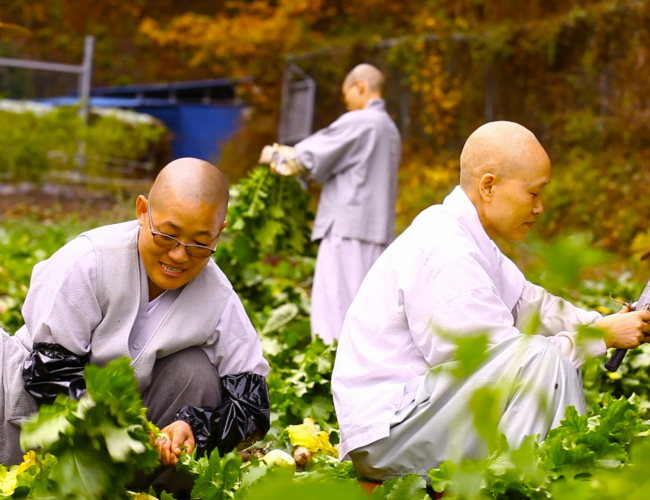 On the Road - Still 3