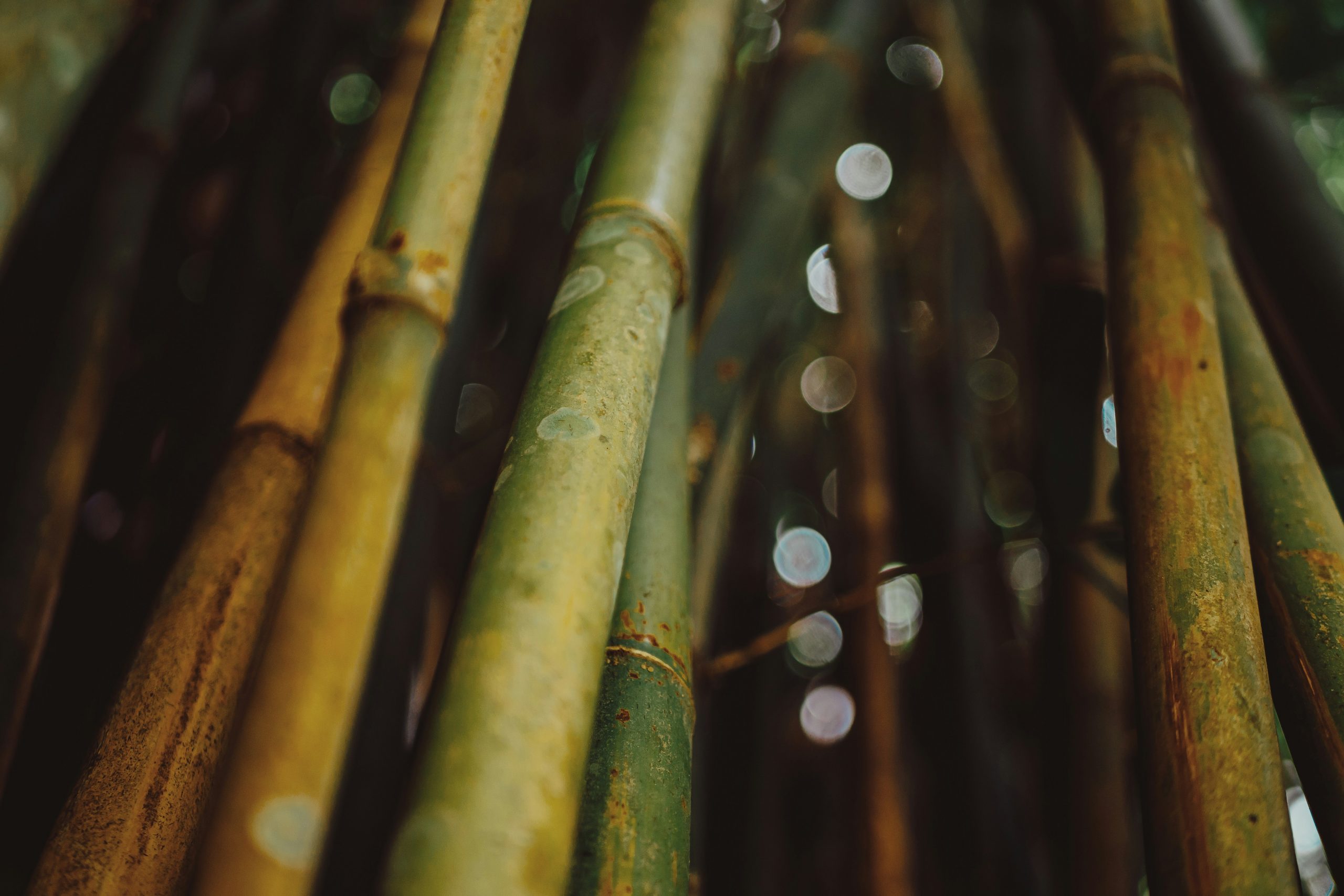 Hollow Bamboo Breathing